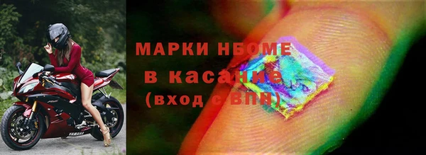 сатива Вяземский