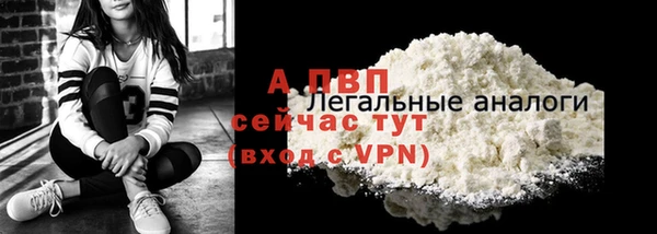 сатива Вяземский