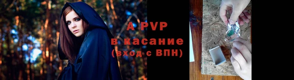сатива Вяземский