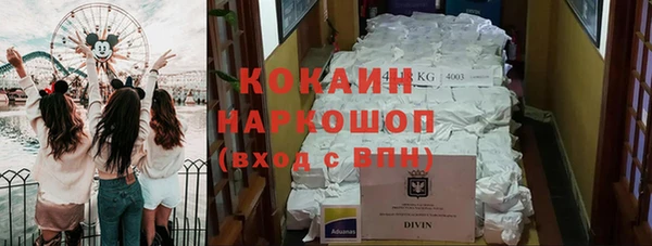 сатива Вяземский