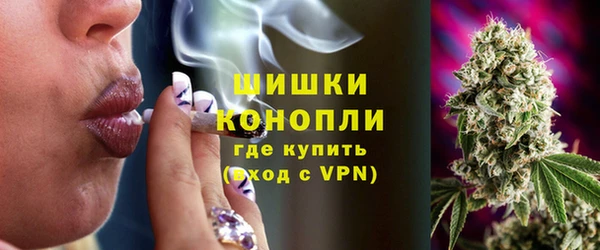 сатива Вяземский