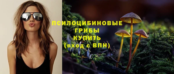 сатива Вяземский