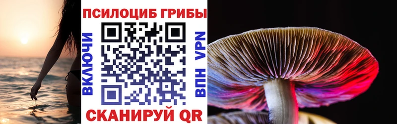 где можно купить   blacksprut сайт  Галлюциногенные грибы мухоморы  Динская 